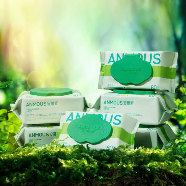 Giấy vệ sinh ướt Anmous tự tan, kháng khuẩn vượt trội - An toàn cho vùng kín, da nhạy cảm (80 tờ)