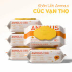 Khăn ướt lau miệng Anmous cúc vạn thọ cho trẻ sơ sinh