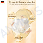 Băng vệ sinh dạng quần Anmous siêu mỏng, siêu thấm, bổ sung lợi khuẩn cân bằng hệ vi sinh vùng kín, Size 40 - 85kg (10 miếng)