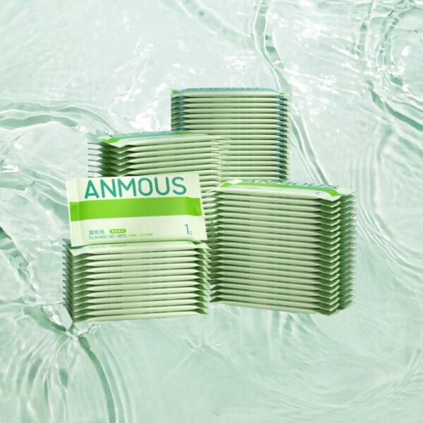 Giấy vệ sinh ướt Anmous tự tan, kháng khuẩn vượt trội - An toàn cho vùng kín, da nhạy cảm (100 tờ)