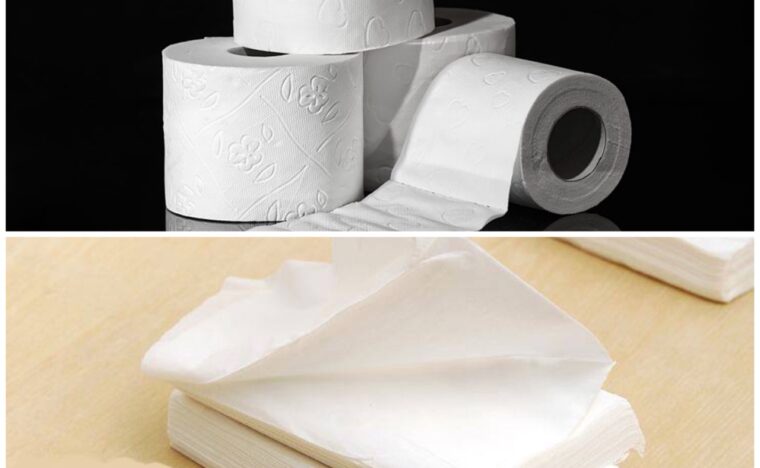 So sánh khăn giấy rút và giấy cuộn