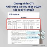 Giấy vệ sinh ướt Anmous tự tan - Bổ sung lợi khuẩn, kháng khuẩn an toàn cho vùng kín và da nhạy cảm (Mẫu mới 80 tờ)